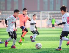 IM体育官网入口-精彩回顾：瞩目比赛中，疑点扑朔迷离的简单介绍