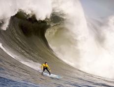 IM体育下载-武切维奇爆发撕裂防线，独行侠节奏掌控令骑士窒息