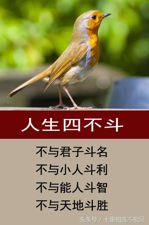 IM体育动画直播通道-包含胜负之间一线之差,对手争强斗勇的词条