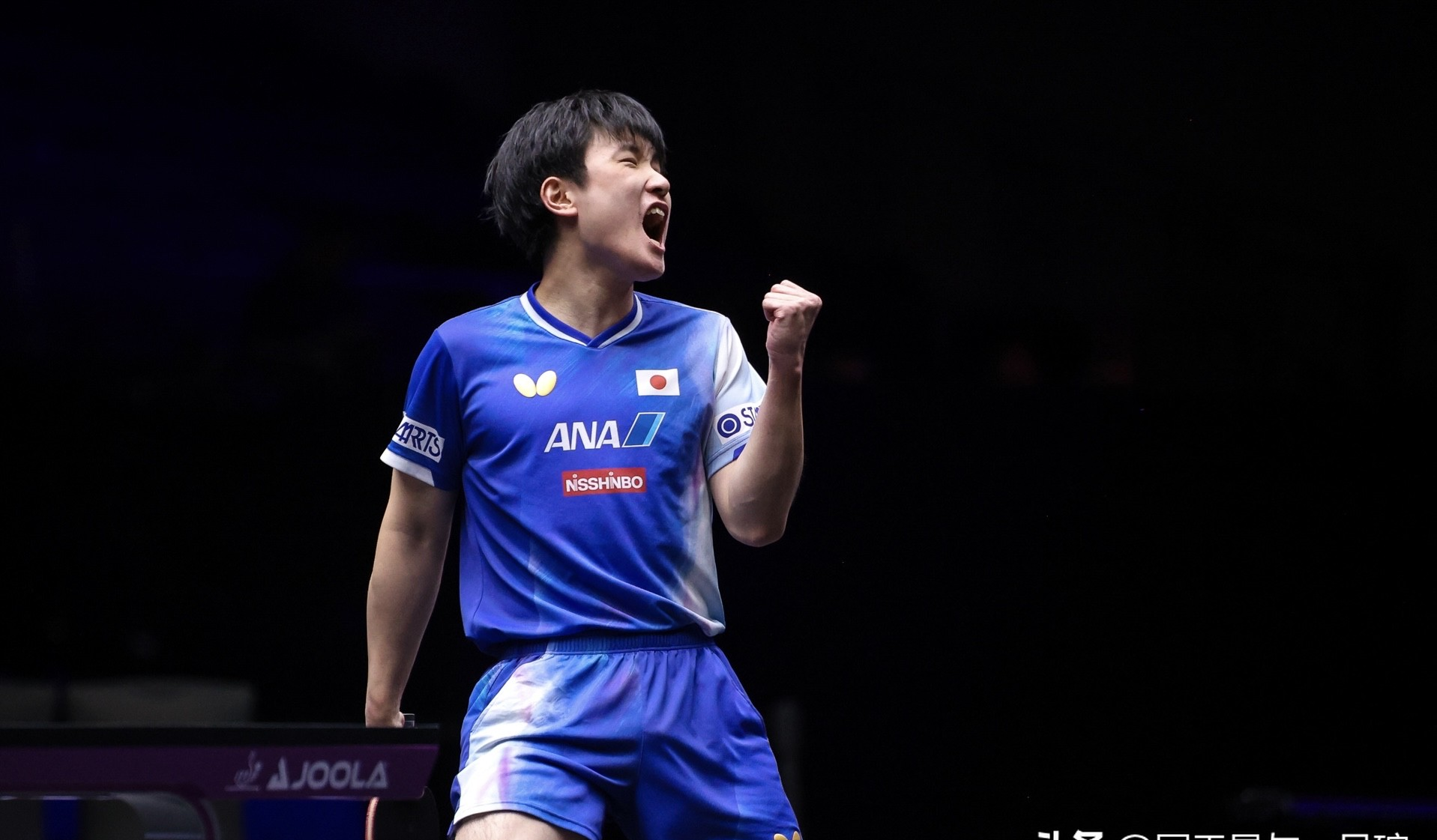 IM体育平台-瑞典队轻取奥地利队，张本智和高光表现的简单介绍